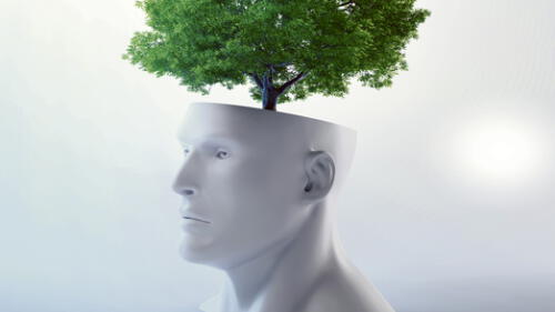 Profesionales comprometidos con el medio ambiente Profesionales comprometidos con el medio ambiente