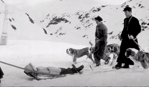 Barry fue entrenado por los monjes para rescatar a personas perdidas. Foto: Captura/YouTube/Experto Animal
