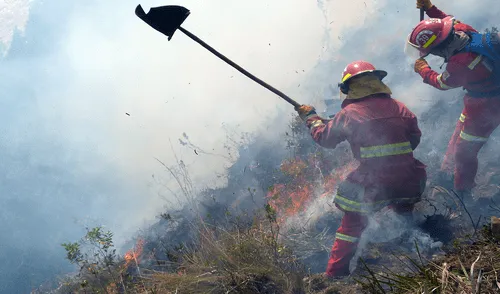 Quién incendia los bosques de Lambayeque