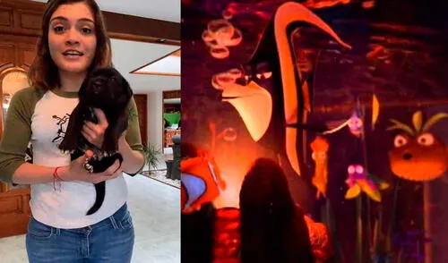 Desliza las imágenes para ver la curiosa parodia que hizo este cachorro y su dueña de una famosa escena de Buscando a nemo. Foto: captura de TikTok/ Sarahi Bustos TikTok viral: cachorro se vuelve viral tras realizar divertido sketch de Buscando a Nemo
