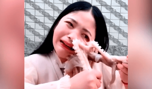 YouTube viral: chica pretendió comer un pulpo vivo y este la ataca de la peor forma [VIDEO]