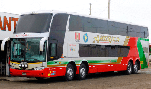 Plagado de pulgas y chinches: pasajeros denuncian insalubre estado de bus interprovincial