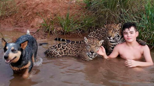La real historia detrás de la fotografía de un niño que juega con jaguares