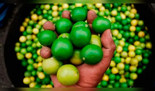 Precios del limón y agua dispararon la inflación: 0,67%