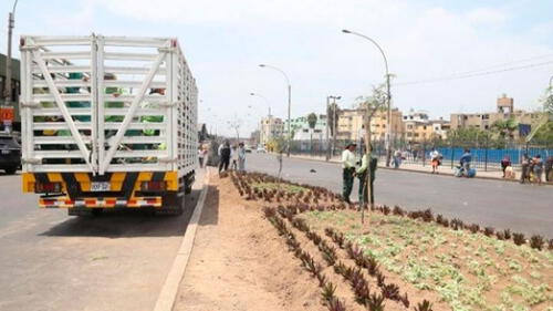 Mañana se inaugurará nuevo parque 'Tacora'.