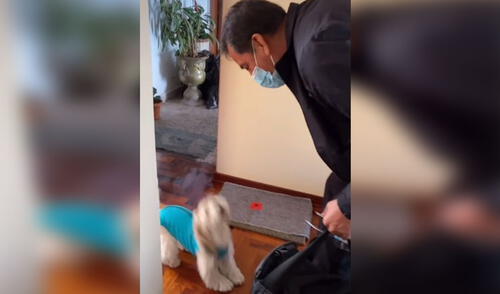Facebook viral: perrita le da un ‘beso’ de bienvenida a su dueño cuando llega del trabajo