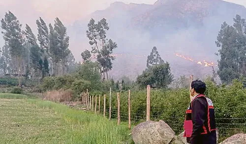 cientos. Incendios afectaron más de 60 mil hectáreas de pastos en provincias de Cusco en lo que va del año. cientos. Incendios afectaron más de 60 mil hectáreas de pastos en provincias de Cusco en lo que va del año.