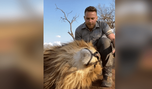 YouTube viral: hombre se acerca a feroz león y este tiene una conmovedora reacción