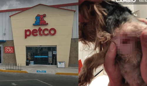 El caso es investigado por maltrato animal. El caso es investigado por maltrato animal.