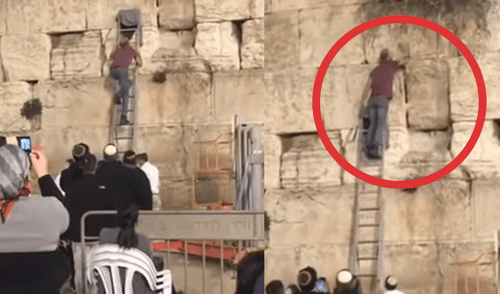 Facebook: fieles quedan aterrados al ver a serpiente en el Muro de los Lamentos en Jerusalén [VIDEO]