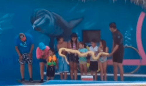 Facebook viral: niño 'trolea' a su padre con inesperada respuesta en actuación de su colegio [VIDEO] 