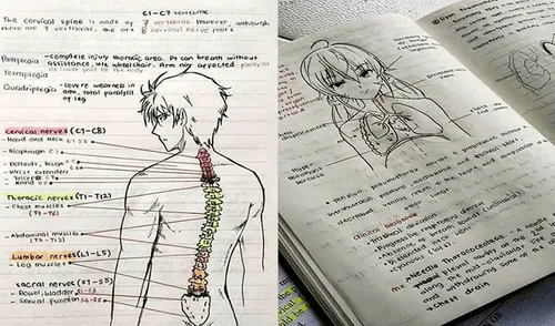 Facebook viral: joven otaku estudia medicina y dibuja animes en sus trabajos universitarios [FOTOS]