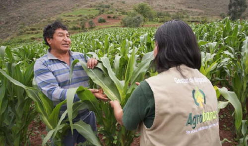 Agrobanco lastra problemas para hacer colocaciones de crédito. Foto: Difusión