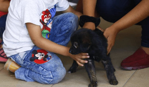 Ministerio de la Mujer atiende a niñas atrapadas en tanque de agua en Puente Piedra