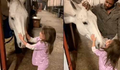 Facebook viral: niña consuela a caballo que se puso a llorar tras enterarse que iba a ser vendido