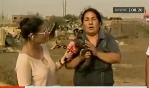 Twitter: Mujer intentó “amamantar” a cerdo bebé tras desborde del río Huaycoloro | VIDEO Twitter: Mujer intentó “amamantar” a cerdo bebé tras desborde del río Huaycoloro | VIDEO