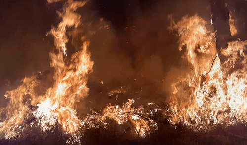 No es la primera vez que el albergue ‘Manada San’ recibe ataques de desconocidos. (FOTO: Facebook)