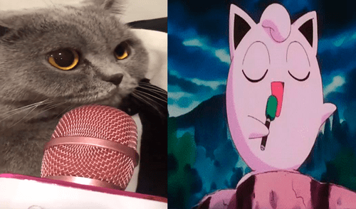 Facebook viral: gato sorprende a usuarios al cantar como pokémon 'Jigglypuff' [VIDEO] 