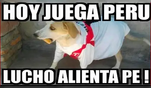 Perú vs Escocia: Mira lo divertidos memes que alegraron la previa del amistoso [FOTOS]