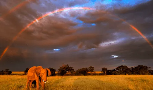 Netflix: Salma Hayek será la narradora de "Nuestro Planeta" [VIDEO]