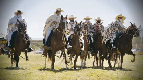 herencia. El caballo de paso tiene el estatus de patrimonio del Perú.