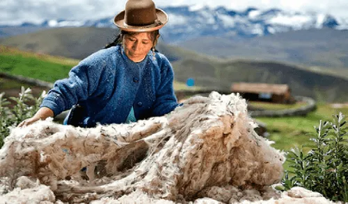 Exportaciones de Arequipa y Cusco superan valores récord del 2018