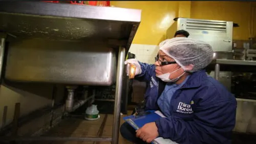 Hallan plagas de insectos en bares y discotecas de Miraflores Hallan plagas de insectos en bares y discotecas de Miraflores