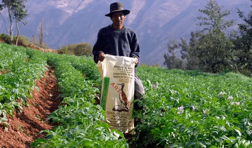 Situación del agro por primera vez en el Pleno
