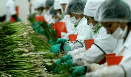 Exportaciones habrían crecido 20% en 2017