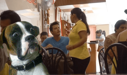 Vía YouTube: YouTuber pide que le preparen un 'chaufa de perro' y miles lo critican [VIDEO]