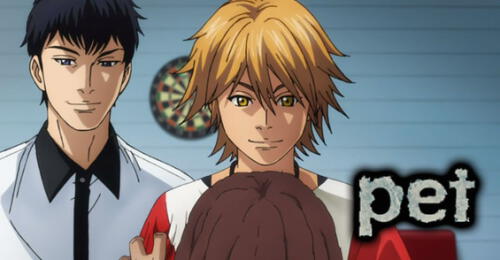 Pet