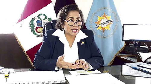 Implementación. Margarita Monzón explica cómo se aplicará el Decreto N° 02-2020. Implementación. Margarita Monzón explica cómo se aplicará el Decreto N° 02-2020.