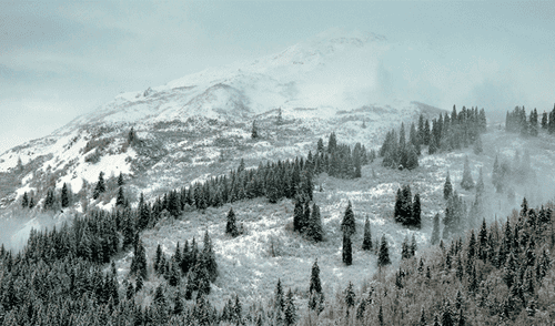 alaska