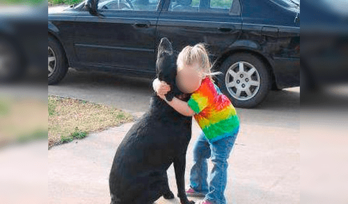 Desliza las imágenes para conocer a Abbey, la can que murió y cuya dueña escribió una carta a Dios para pedirle que la proteja. Foto: Facebook