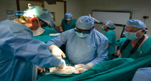 Realizarán campaña médica en Cusco para realizar prótesis de rodilla gratuita Realizarán campaña médica en Cusco para realizar prótesis de rodilla gratuita