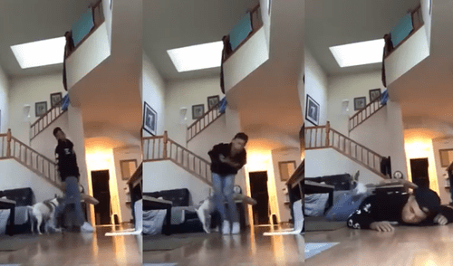 Facebook viral: Perro vio a su dueño "muerto" y tuvo una reacción insólita [VIDEO]