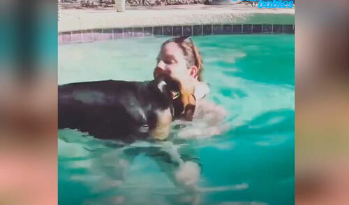 YouTube viral: perrito abandonado pierde más de 22 kilos con la ayuda de su nueva dueña YouTube viral: perrito abandonado pierde más de 22 kilos con la ayuda de su nueva dueña