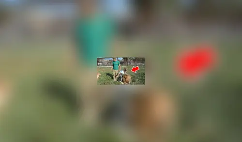 YouTube viral: Niña entra a calabozo de leones y la reacción de estos deja impactados a todos [VIDEO]