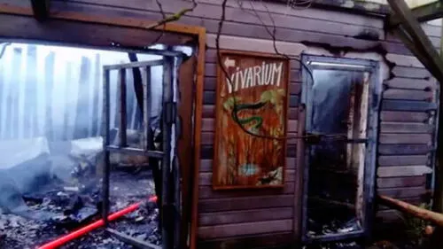 Facebook: Zoo de La Flèche.