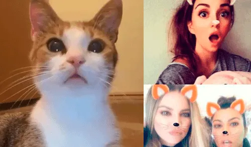 Facebook: gato se somete a los filtros de Snapchat y sufre radical cambio de look [VIDEO]