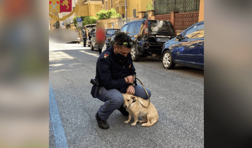 Policía rescata y adopta a perrita callejera que fue abandonada en un poste bajo el sol [FOTOS]