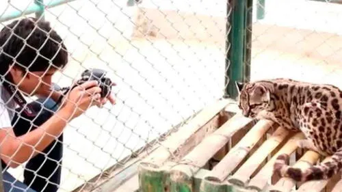 Piura: celebran inicio de la primavera con actividades en parque ecológico 