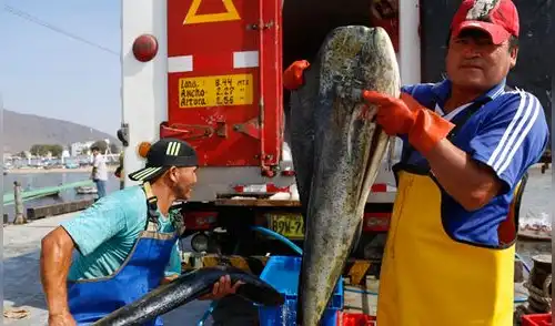 Ministerio de la Producción fomenta diálogo en Chimbote para fortalecer pesca de consumo humano