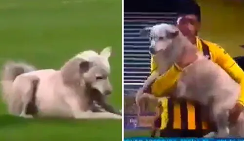 The Strongest venció por 3-0 a Nacional de Potosí por la Primera División de Bolivia. Foto: YouTube/Foto: @RicardoBajo