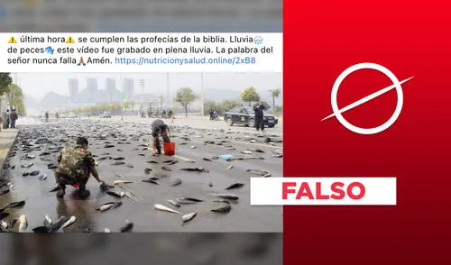 Es falso que fotografía viralizada muestre una “lluvia de peces”. Foto: plantilla para Verificador