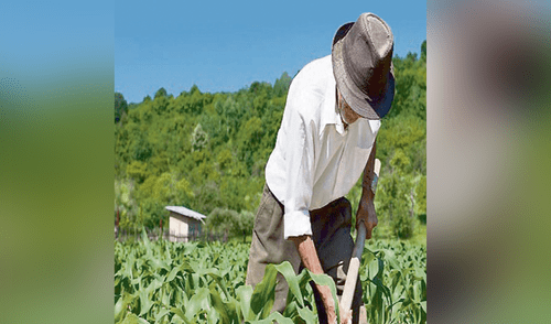 BCRP a favor de que Mi Agro sea supervisada por la SBS BCRP a favor de que Mi Agro sea supervisada por la SBS