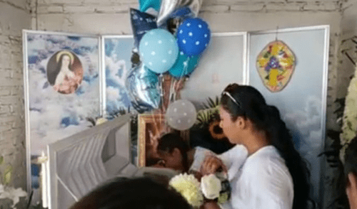 Falleció el bebé de 10 meses que fue mordido por una araña violinista