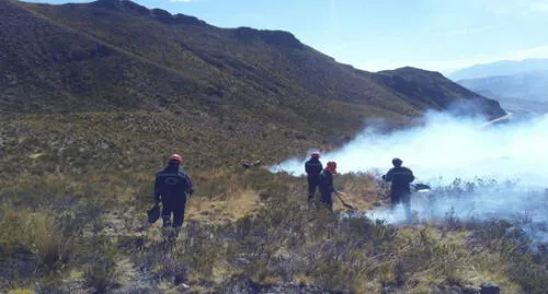 Anciano muere calcinado en incendio forestal en Caylloma