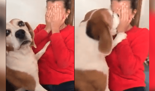 Facebook: mujer finge llorar frente a su perro y este tiene emotiva reacción [VIDEO]