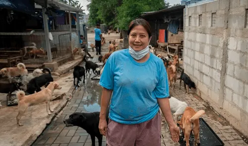 Mujer rescata a más de 1.400 perros en Indonesia